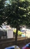 Туры в отель Hotel Vieille Tour Centre Rouen Туры в отель Hotel Vieille Tour Centre Rouen