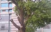 Туры в отель Shuguang International Hotel Туры в отель Shuguang International Hotel