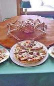Туры в отель Hosteria y Restaurante America Туры в отель Hosteria y Restaurante America