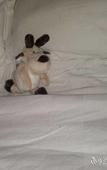 Туры в отель Fengdu International Hotel Туры в отель Fengdu International Hotel