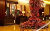 Туры в отель Dalian International Airport Hotel Туры в отель Dalian International Airport Hotel