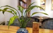 Туры в отель Yangshuo Riverview Hotel Туры в отель Yangshuo Riverview Hotel