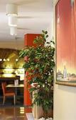 Туры в отель Holiday Inn Vienna City Туры в отель Holiday Inn Vienna City