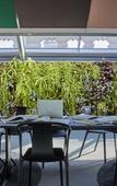 Туры в отель Rosewood Munich Туры в отель Rosewood Munich