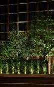 Туры в отель PUBLIC, an Ian Schrager hotel Туры в отель PUBLIC, an Ian Schrager hotel