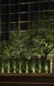Туры в отель PUBLIC, an Ian Schrager hotel Туры в отель PUBLIC, an Ian Schrager hotel