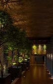 Туры в отель Waldorf Astoria Xiamen Туры в отель Waldorf Astoria Xiamen