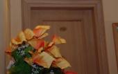 Туры в отель Solo Experience Hotel Туры в отель Solo Experience Hotel