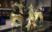 Туры в отель UrCove by HYATT Nanjing South Railway Station Туры в отель UrCove by HYATT Nanjing South Railway Station