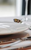 Туры в отель Steigenberger Airport Hotel Berlin Туры в отель Steigenberger Airport Hotel Berlin