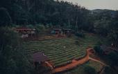 Туры в отель Chiang Mai Elephant Friends Туры в отель Chiang Mai Elephant Friends