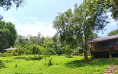 Туры в отель Chiang Mai Elephant Friends Туры в отель Chiang Mai Elephant Friends