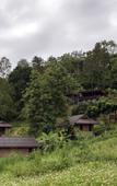 Туры в отель Chiang Mai Elephant Friends Туры в отель Chiang Mai Elephant Friends