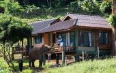 Туры в отель Chiang Mai Elephant Friends Туры в отель Chiang Mai Elephant Friends