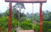 Туры в отель Chiang Mai Elephant Friends Туры в отель Chiang Mai Elephant Friends