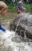 Туры в отель Chiang Mai Elephant Friends Туры в отель Chiang Mai Elephant Friends
