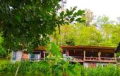 Туры в отель Chiang Mai Elephant Friends Туры в отель Chiang Mai Elephant Friends