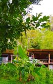 Туры в отель Chiang Mai Elephant Friends Туры в отель Chiang Mai Elephant Friends