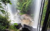 Туры в отель Chiang Mai Elephant Friends Туры в отель Chiang Mai Elephant Friends