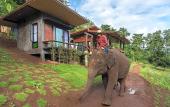 Туры в отель Chiang Mai Elephant Friends Туры в отель Chiang Mai Elephant Friends
