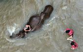 Туры в отель Chiang Mai Elephant Friends Туры в отель Chiang Mai Elephant Friends