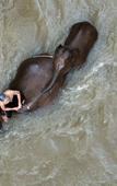 Туры в отель Chiang Mai Elephant Friends Туры в отель Chiang Mai Elephant Friends