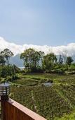 Туры в отель Mount Batur Villa Туры в отель Mount Batur Villa