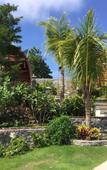 Туры в отель Druwa Bali Туры в отель Druwa Bali