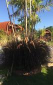 Туры в отель Druwa Bali Туры в отель Druwa Bali