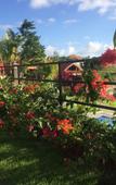 Туры в отель Druwa Bali Туры в отель Druwa Bali