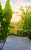 Туры в отель Druwa Bali Туры в отель Druwa Bali