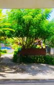Туры в отель Druwa Bali Туры в отель Druwa Bali