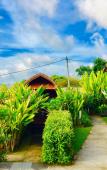 Туры в отель Druwa Bali Туры в отель Druwa Bali