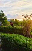 Туры в отель Druwa Bali Туры в отель Druwa Bali