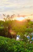 Туры в отель Druwa Bali Туры в отель Druwa Bali