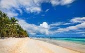 Туры в отель Bohol Dolphin Bay Resort Туры в отель Bohol Dolphin Bay Resort