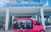 Туры в отель Bohol Dolphin Bay Resort Туры в отель Bohol Dolphin Bay Resort