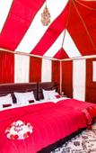 Туры в отель Sahara Magic Luxury Camp Туры в отель Sahara Magic Luxury Camp