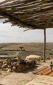 Туры в отель Caravan Agafay by Our Habitas Туры в отель Caravan Agafay by Our Habitas