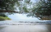 Туры в отель Kira Baya Koh Samed Туры в отель Kira Baya Koh Samed