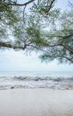 Туры в отель Kira Baya Koh Samed Туры в отель Kira Baya Koh Samed
