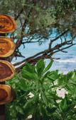 Туры в отель Kira Baya Koh Samed Туры в отель Kira Baya Koh Samed
