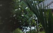 Туры в отель Kira Baya Koh Samed Туры в отель Kira Baya Koh Samed