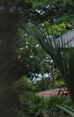 Туры в отель Kira Baya Koh Samed Туры в отель Kira Baya Koh Samed