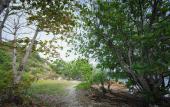 Туры в отель Kira Baya Koh Samed Туры в отель Kira Baya Koh Samed