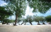 Туры в отель Kira Baya Koh Samed Туры в отель Kira Baya Koh Samed