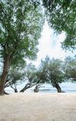Туры в отель Kira Baya Koh Samed Туры в отель Kira Baya Koh Samed