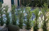 Туры в отель MIMESIS 11 BOUTIQUE HOTEL Туры в отель MIMESIS 11 BOUTIQUE HOTEL