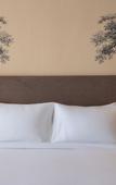 Туры в отель Pickalbatros Sungo Club - All Inclusive Туры в отель Pickalbatros Sungo Club - All Inclusive