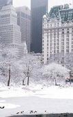 Туры в отель The Plaza, A Fairmont Hotel Туры в отель The Plaza, A Fairmont Hotel